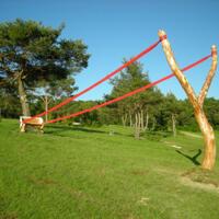 post-image