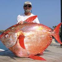 lounge-penghuni-kaskus-fishing-community