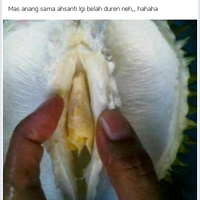 new-lounge-programmer-tukang-nasi-goreng-edition-jilid-2