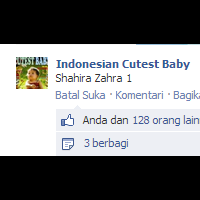 bantu-ane-like-fotoane-kasih-ebook-terbaik-buat-menambah-followers-twitter