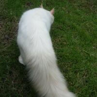 vegetable-lovers---official-thread---part-2