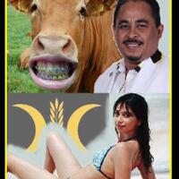 dasar-pks-otak-mesum-pidato-jokowi-dikritik-seperti-gadis-mengumbar-aurat