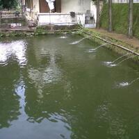 post-image