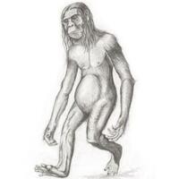 misteri-orang-pendek-sumatra-itu-kera-atau-manusia