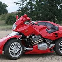 info-kecil-cameracoid