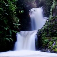 alun-alunnya-nikonian---part-10