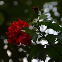 nongkrong-bareng-yang-masih-amatiran-dan-newbie---part-4