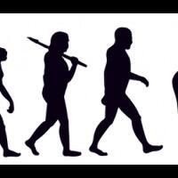 berita-ilmiah-survei-penerimaan-evolusi-di-antara-muslim