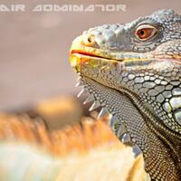 ff---forum-fotografi---regional-jember