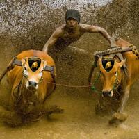 10-konsep-desain-mobil-lamborghini-paling-keren