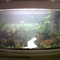 aquascape-for-everybody-learning-and-sharing