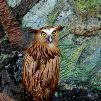 regional-bandung--sekitarnya