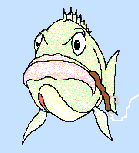 lounge-penghuni-kaskus-fishing-community