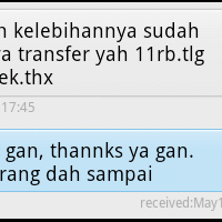 sedikit-testimonial-evelinetanil