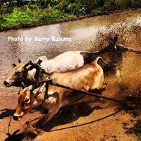 tips-memaksimalkan-smartphone-untuk-foto-liburan