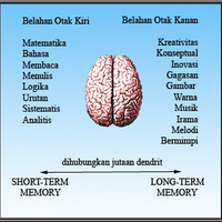 test-otak-coba-baca-kalo-bisa-baca-berarti-otak-kanan-anda-berfungsi-dengan-baik