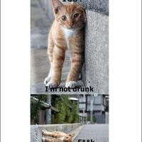 pagi-pagi-jangan-cemberut-gan-mending-ngakak-bareng-d