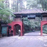 5-gunung-terbaik-di-indonesia-untuk-kemping