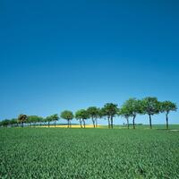 lihat-yang-seger-seger-yuk-biar-mata-nggak-ngantuk