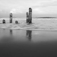 geoju-samseong-tempat-tinggal-samsung