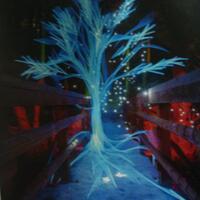 info-kecil-cameracoid