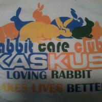 rcc-rabbit-lover---part-2