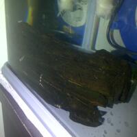 aquascape-for-everybody-learning-and-sharing