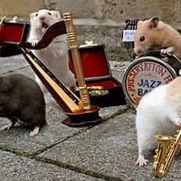 5-band-yang-cukup-unik-di-dunia