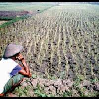 miriiis-indonesia-kekurangan-petani