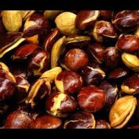 hot-harga-jengkol-tembus-rp-32000