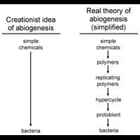 kontroversi-teori-evolusi
