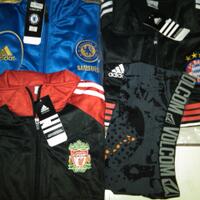 all-testimonial-bumitercinta