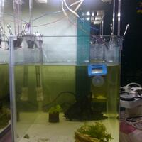 aquascape-for-everybody-learning-and-sharing