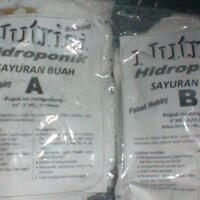 all-about-hidroponik