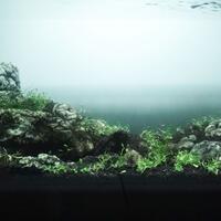 aquascape-for-everybody-learning-and-sharing