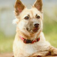 nongkrong-bareng-lensa-50mm-normal-lens