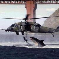 foto-foto-palsu-yang-menghebohkan-dunia