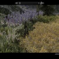 official-the-elder-scrolls-v--skyrim---part-1