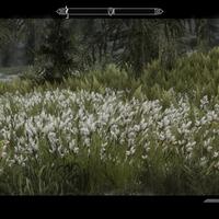 official-the-elder-scrolls-v--skyrim---part-1