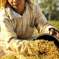 alun-alunnya-nikonian---part-11