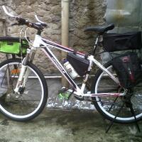 wimcycle-roadtech-roadchamp--diamante-zone