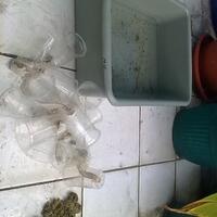 lounge-saung-kebun-ft---tempat-obrolan-warga-kampung-ft---part-1