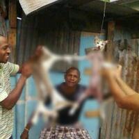 apakah-ini-layak-di-sebut-manusia