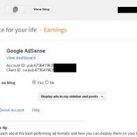 ask-neh-blog-saya-udah-di-trima-ama-google-adsense-apa-blm-yah