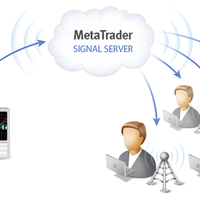 new--untung-berlipat-dengan-metatrader-5-signal