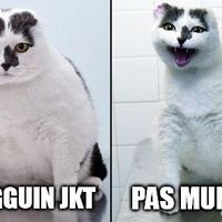 kaskus-jkt48---part-17