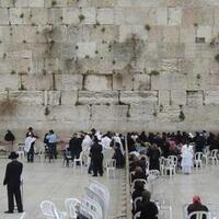 bertakbir-di-tembok-ratapan-lelaki-israel-ditembak-mati