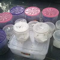 sharengomongin-apapun-ttg-tanaman-pohon-anggur-yuk