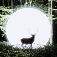 post-rock-math-shoegaze-ambient-trip-hop--experimental-music-corner