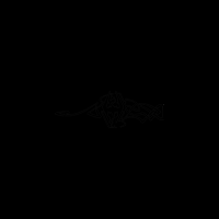 post-image